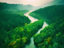 Цікаві факти про річки