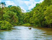 Цікаві факти про річку Конго