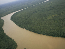 Цікаві факти про річку Нігер