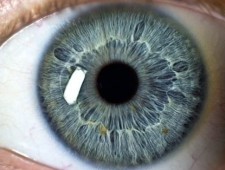 Цікаві факти про очі та зір