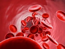 Цікаві факти про людську кров