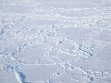Цікаві факти про Північний полюс