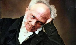 Цікаві факти про Schopenhauer