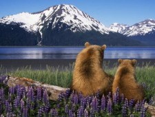 Цікаві факти про Аляску